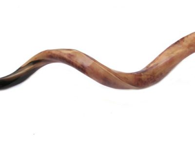 Shofar