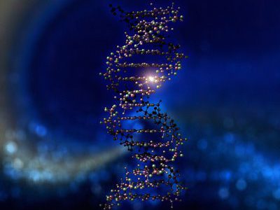 Provando a existência de D-us a partir do DNA