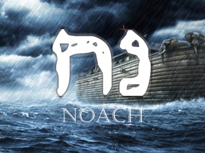 Artigo: Noach (Noé)