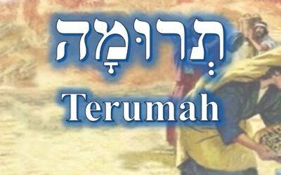 Comer Terumah